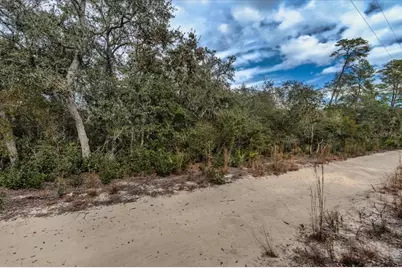 Ne 233rd Lane, Fort Mc Coy, FL 32134 - Photo 12