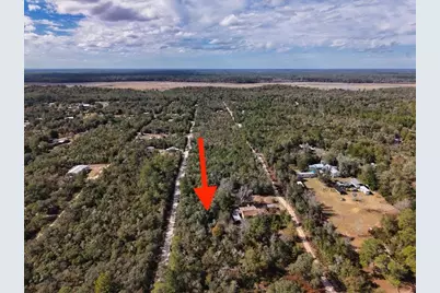 Ne 233rd Lane, Fort Mc Coy, FL 32134 - Photo 16