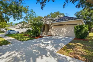 12906 Cattail Shore Ln, Riverview, FL 33579 - Photo 2