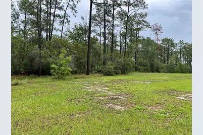 Virginia (Paper) Avenue, Deltona, FL 32738 - Photo 8