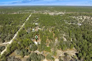 6471 N Khyber Ave, Dunnellon, FL 34433 - Photo 46
