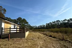 42111 Chinaberry Ct, Eustis, FL 32736 - Photo 4