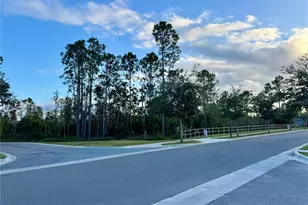 13333 Gorgona Isle Dr., Windermere, FL 34786 - Photo 14