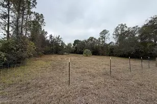 17718 Coon Hide Rd, Spring Hill, FL 34610 - Photo 12
