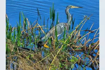 12122 Grand Oak Lane, Oxford, FL 34484 - Photo 86
