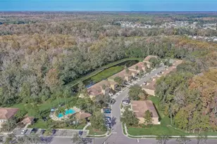 4602 Winding River Way, Land O Lakes, FL 34639 - Photo 62