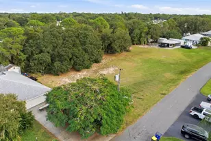 183 Blue Moon Ave, Lake Placid, FL 33852 - Photo 24