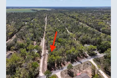Ne 154 Terrace, Williston, FL 32696 - Photo 6