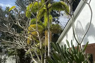 655 Eagle Pointe S, Kissimmee, FL 34746 - Photo 40