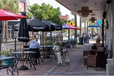 9209 Harris Hawk Drive, Leesburg, FL 34788 - Photo 30