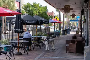 9209 Harris Hawk Dr, Leesburg, FL 34788 - Photo 30