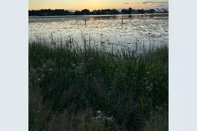 4226 Downeast Lane, Windermere, FL 34786 - Photo 16