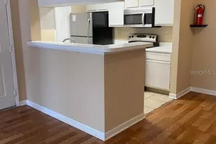 4301 Lizshire Ln, Orlando, FL 32822 - Photo 6