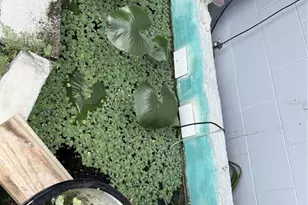 6313 Willow Oak Ln, Orlando, FL 32809 - Photo 50