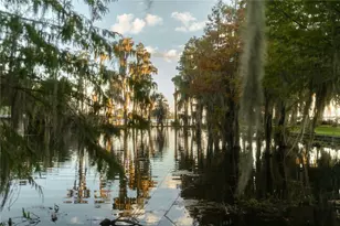 713 Main St, Windermere, FL 34786 - Photo 72