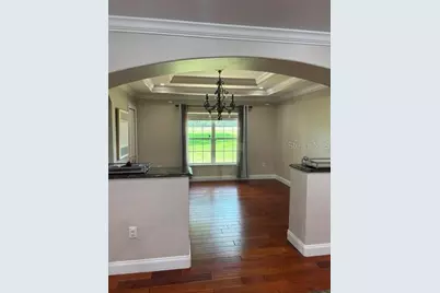 537 Woodlawn Cemetery Road, Gotha, FL 34734 - Photo 12