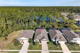138 S Hummingbird Pl, Palm Coast, FL 32164 - Photo 38