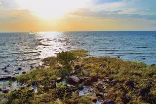 2285 Pomeroy Rd, Spring Hill, FL 34609 - Photo 30