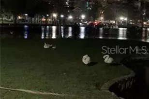 21 N Thornton Ave, Orlando, FL 32801 - Photo 16