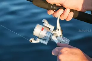 1 Vinca St, Homosassa, FL 34446 - Photo 24