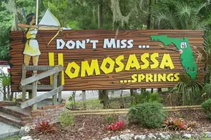 13 Sandpine Ct W, Homosassa, FL 34446 - Photo 18