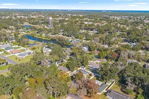 2213 Needle Palm Dr, Edgewater, FL 32141 - Photo 38