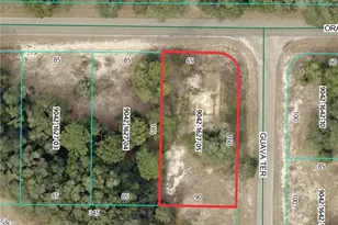 11745 Orange Rd, Ocklawaha, FL 32179 - Photo 1