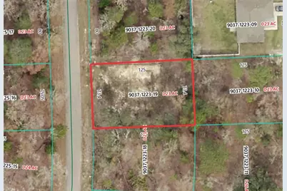 19 Fisher Lane Track, Ocklawaha, FL 32179 - Photo 1
