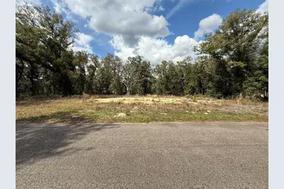 5 Fisher Lane Course, Ocklawaha, FL 32179 - Photo 2