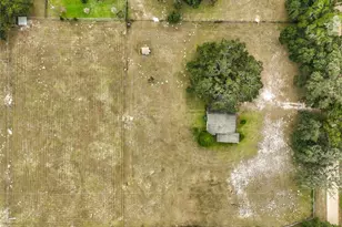 32200 Avington Rd, Sorrento, FL 32776 - Photo 60