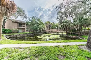 7502 Needle Leaf Pl, Tampa, FL 33617 - Photo 26