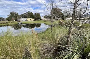 311 E Magnolia St, Leesburg, FL 34748 - Photo 8