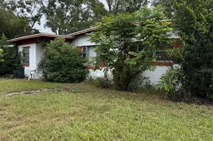 1300 Morningside St, Mount Dora, FL 32757 - Photo 2