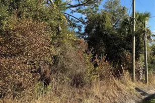 Padrick Ave, Deland, FL 32720 - Photo 1