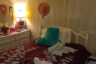 6244 Scenic Vw Dr, Lakeland, FL 33810 - Photo 4