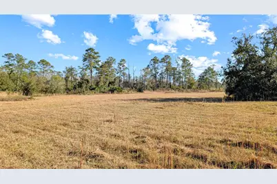 23545 Bishop Avenue, Christmas, FL 32709 - Photo 14