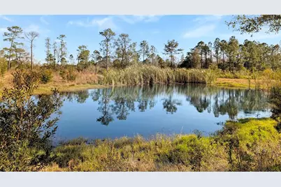 23545 Bishop Avenue, Christmas, FL 32709 - Photo 2