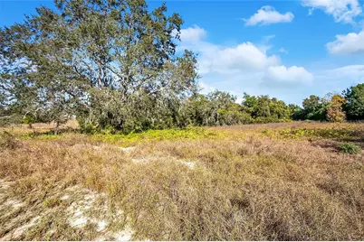 17309 Marsh Road, Winter Garden, FL 34787 - Photo 8