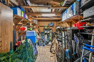 529 Bison Cir, Apopka, FL 32712 - Photo 52