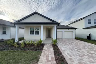 30167 Rustic Mill St, Mount Dora, FL 32757 - Photo 1