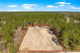 12185 SW 98th St, Dunnellon, FL 34432 - Photo 2