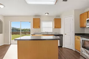 31518 Earn Dr, Wesley Chapel, FL 33545 - Photo 20