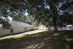 1319 Rain Forest Ln, Minneola, FL 34715 - Photo 24