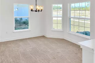 262 Verny Grove Ln, Leesburg, FL 34748 - Photo 4