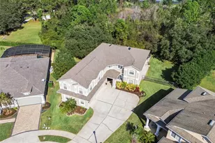 9506 Bay Pine Ln, Orlando, FL 32832 - Photo 52