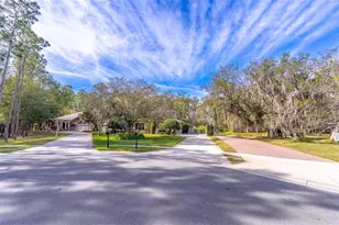 2750 Lee Shore Loop, Orlando, FL 32820 - Photo 74