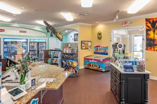 2362 Silver Palm Dr, Kissimmee, FL 34747 - Photo 42