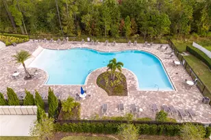 10551 Petrillo Wy, Winter Garden, FL 34787 - Photo 8