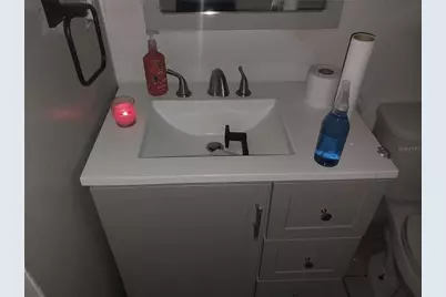 2733 E Dellwood Drive, Eustis, FL 32726 - Photo 20