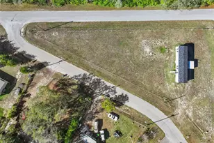 7639 Vine St, Land O Lakes, FL 34638 - Photo 2